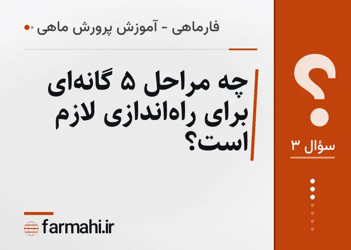 چه مراحل ۵ گانه‌ای برای راه‌اندازی لازم است؟