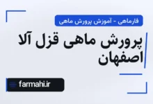 پرورش ماهی قزل آلا اصفهان