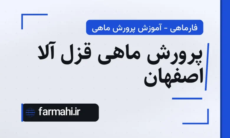 پرورش ماهی قزل آلا اصفهان