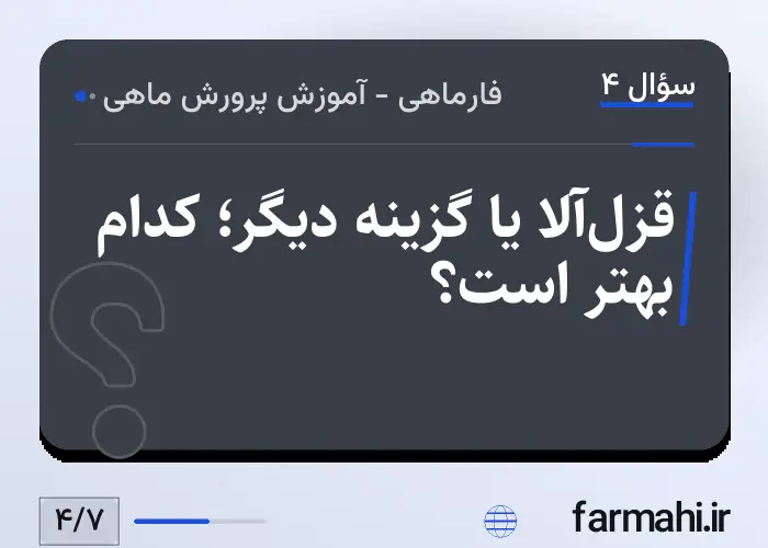 قزل‌آلا یا گزینه دیگر؛ کدام بهتر است؟