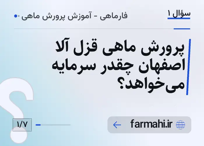 پرورش ماهی قزل آلا اصفهان چقدر سرمایه می‌خواهد؟
