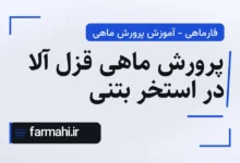 پرورش ماهی قزل آلا در استخر بتنی