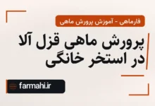 پرورش ماهی قزل آلا در استخر خانگی
