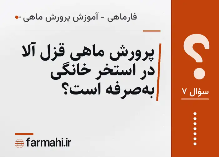 پرورش ماهی قزل آلا در استخر خانگی به‌صرفه است؟