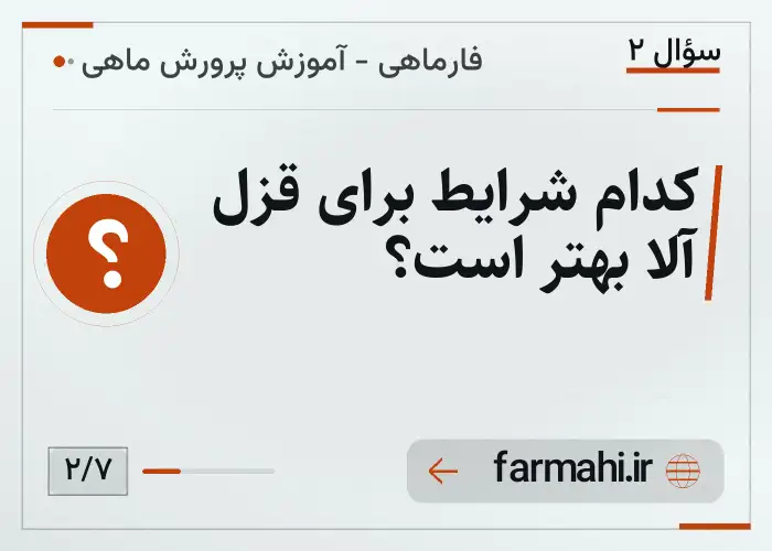 کدام شرایط برای قزل آلا بهتر است؟