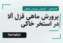 پرورش ماهی قزل آلا در استخر خاکی