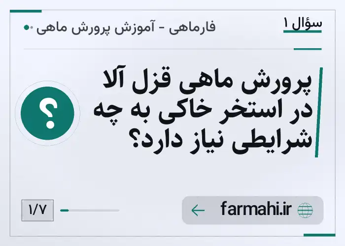 پرورش ماهی قزل آلا در استخر خاکی به چه شرایطی نیاز دارد؟