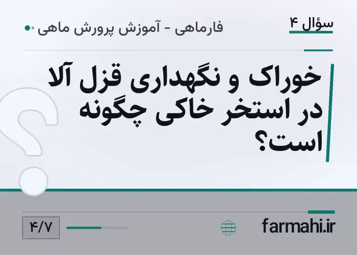 خوراک و نگهداری قزل آلا در استخر خاکی چگونه است؟