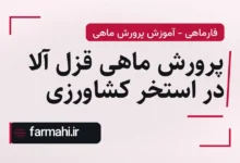 پرورش ماهی قزل آلا در استخر کشاورزی