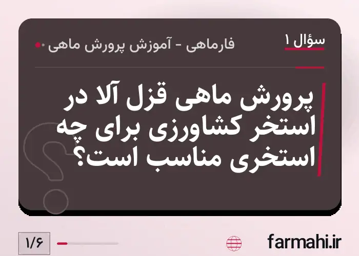 پرورش ماهی قزل آلا در استخر کشاورزی برای چه استخری مناسب است؟