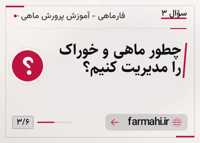 چطور ماهی و خوراک را مدیریت کنیم؟