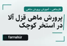 پرورش ماهی قزل آلا در استخر کوچک