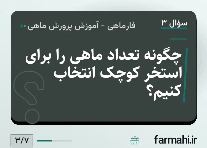 چگونه تعداد ماهی را برای استخر کوچک انتخاب کنیم؟