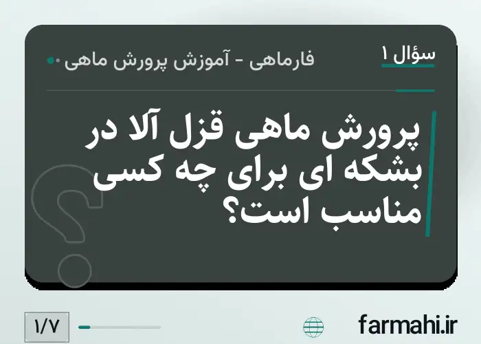 پرورش ماهی قزل آلا در بشکه ای برای چه کسی مناسب است؟