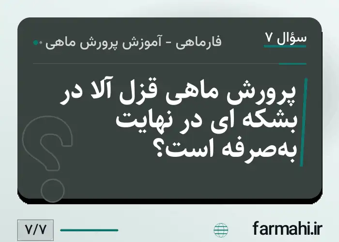 پرورش ماهی قزل آلا در بشکه ای در نهایت به‌صرفه است؟