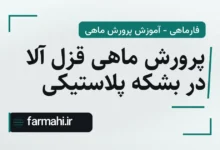پرورش ماهی قزل آلا در بشکه پلاستیکی
