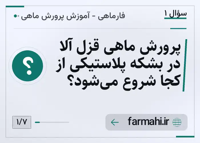 پرورش ماهی قزل آلا در بشکه پلاستیکی از کجا شروع می‌شود؟