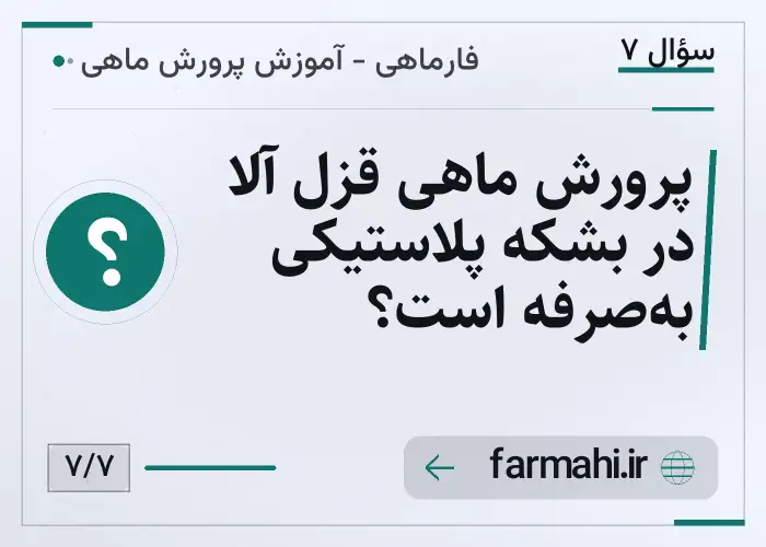 پرورش ماهی قزل آلا در بشکه پلاستیکی به‌صرفه است؟
