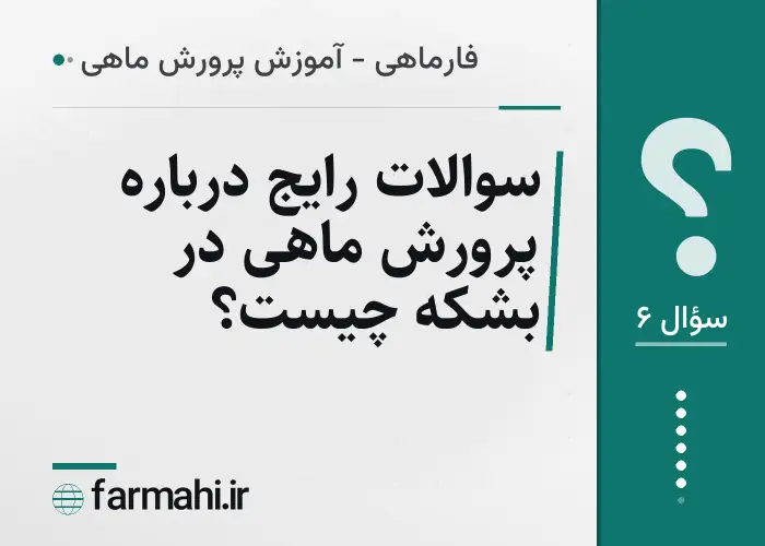 سوالات رایج درباره پرورش ماهی در بشکه چیست؟