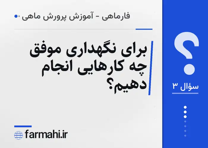 برای نگهداری موفق چه کارهایی انجام دهیم؟