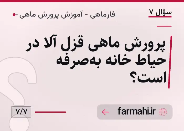 پرورش ماهی قزل آلا در حیاط خانه به‌صرفه است؟