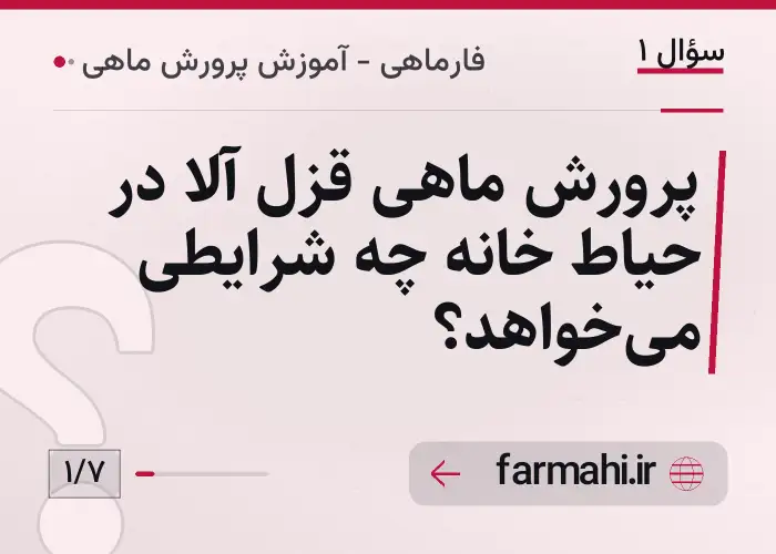پرورش ماهی قزل آلا در حیاط خانه چه شرایطی می‌خواهد؟