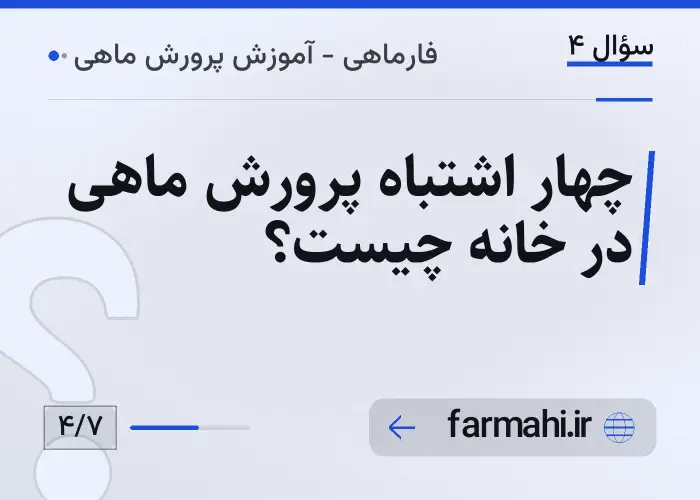چهار اشتباه پرورش ماهی در خانه چیست؟