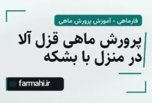 پرورش ماهی قزل آلا در منزل با بشکه