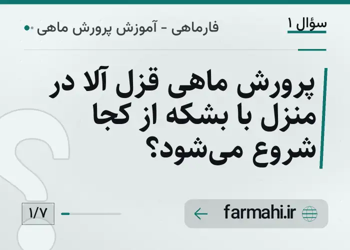 پرورش ماهی قزل آلا در منزل با بشکه از کجا شروع می‌شود؟