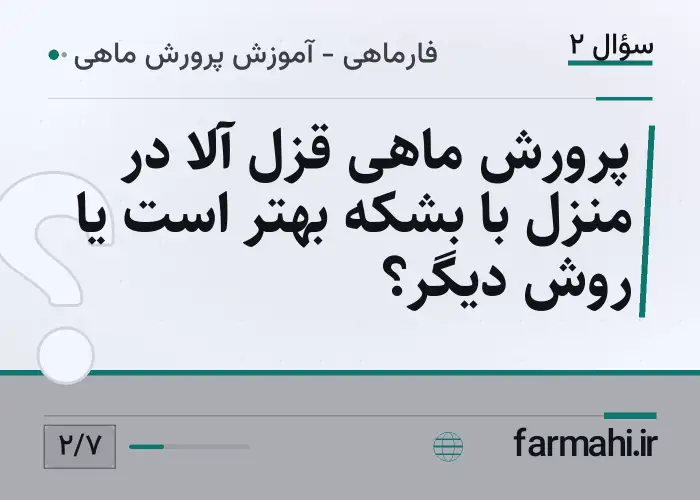 پرورش ماهی قزل آلا در منزل با بشکه بهتر است یا روش دیگر؟
