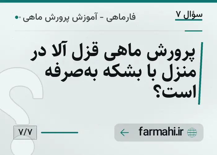 پرورش ماهی قزل آلا در منزل با بشکه به‌صرفه است؟