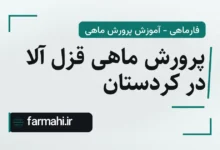 پرورش ماهی قزل آلا در کردستان