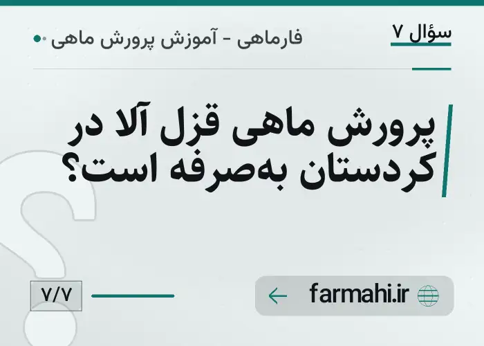 پرورش ماهی قزل آلا در کردستان به‌صرفه است؟
