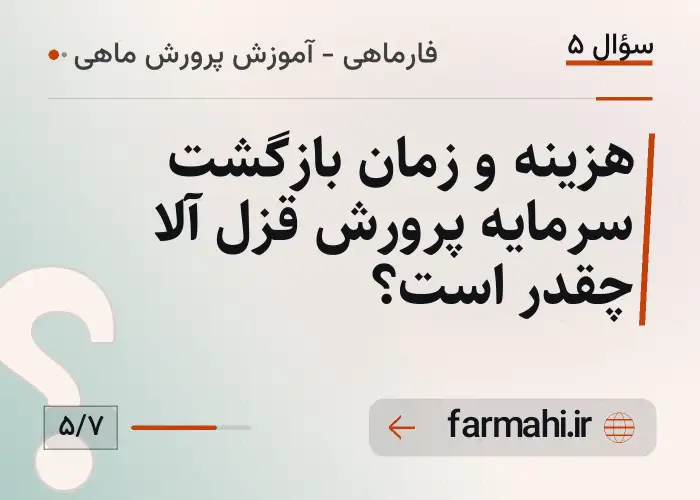 هزینه و زمان بازگشت سرمایه پرورش قزل آلا چقدر است؟