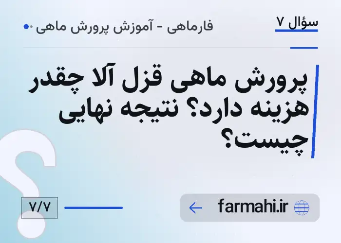 پرورش ماهی قزل آلا چقدر هزینه دارد؟ نتیجه نهایی چیست؟