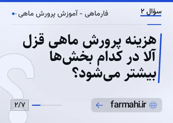 هزینه پرورش ماهی قزل آلا در کدام بخش‌ها بیشتر می‌شود؟