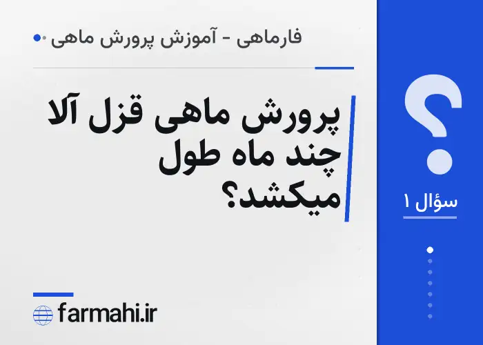 پرورش ماهی قزل آلا چند ماه طول میکشد؟