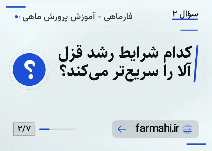 کدام شرایط رشد قزل آلا را سریع‌تر می‌کند؟