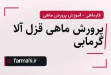 پرورش ماهی قزل آلا گرمابی