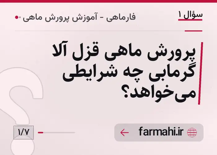 پرورش ماهی قزل آلا گرمابی چه شرایطی می‌خواهد؟