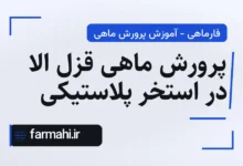پرورش ماهی قزل الا در استخر پلاستیکی