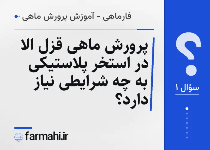 پرورش ماهی قزل الا در استخر پلاستیکی به چه شرایطی نیاز دارد؟