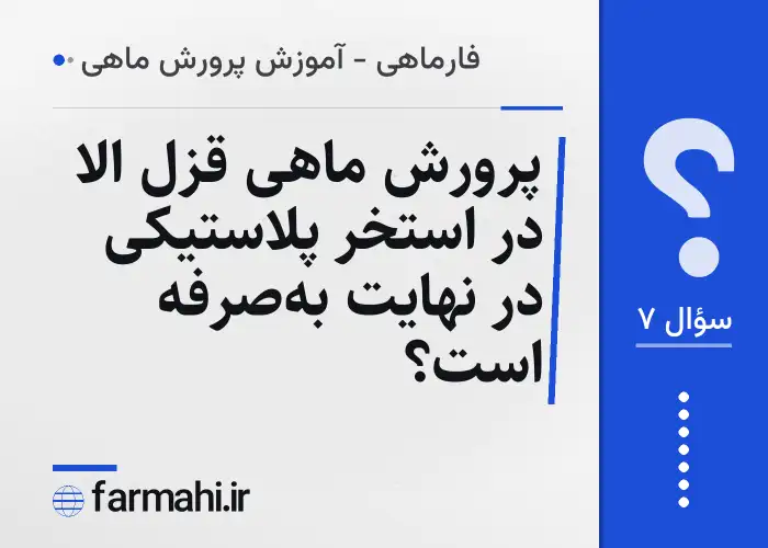 پرورش ماهی قزل الا در استخر پلاستیکی در نهایت به‌صرفه است؟
