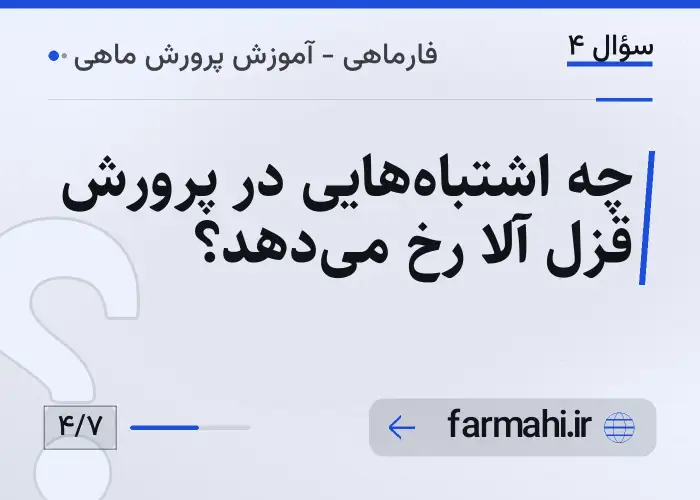 چه اشتباه‌هایی در پرورش قزل آلا رخ می‌دهد؟