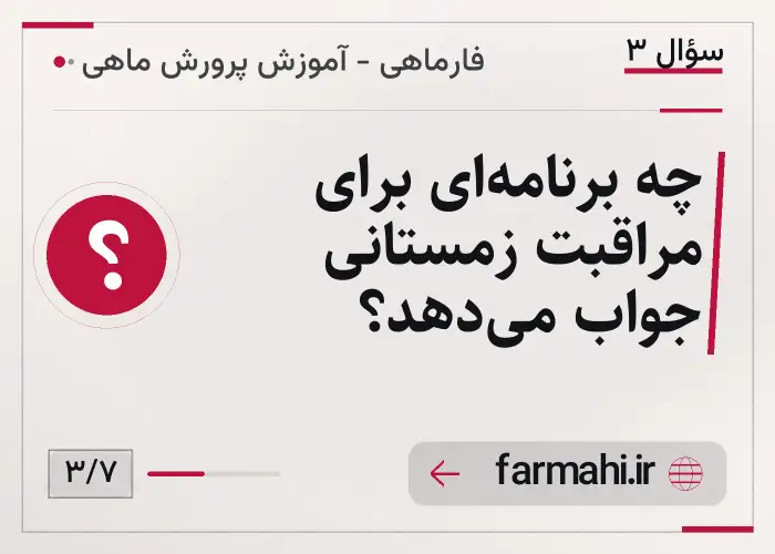 چه برنامه‌ای برای مراقبت زمستانی جواب می‌دهد؟