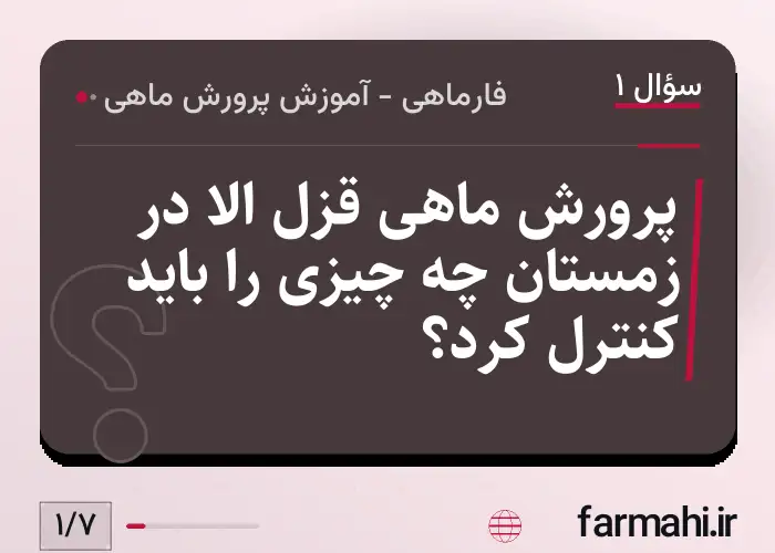 پرورش ماهی قزل الا در زمستان چه چیزی را باید کنترل کرد؟