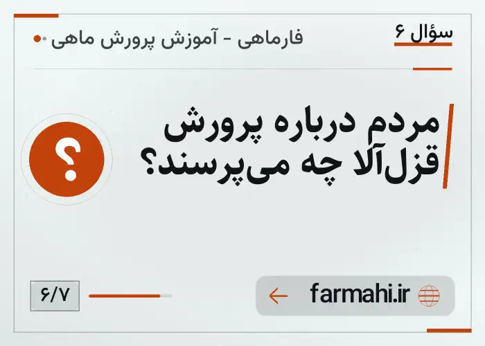 مردم درباره پرورش قزل‌آلا چه می‌پرسند؟