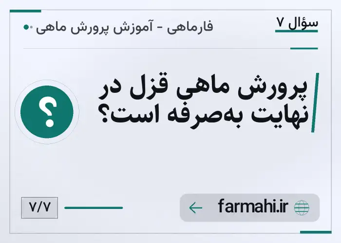 پرورش ماهی قزل در نهایت به‌صرفه است؟