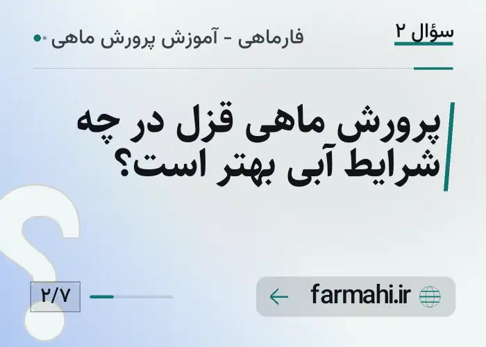 پرورش ماهی قزل در چه شرایط آبی بهتر است؟