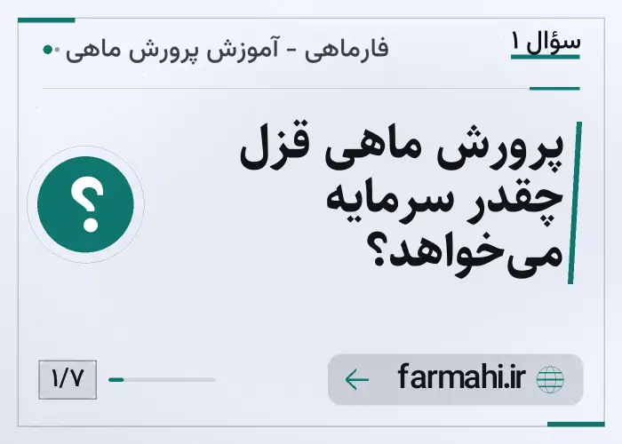 پرورش ماهی قزل چقدر سرمایه می‌خواهد؟